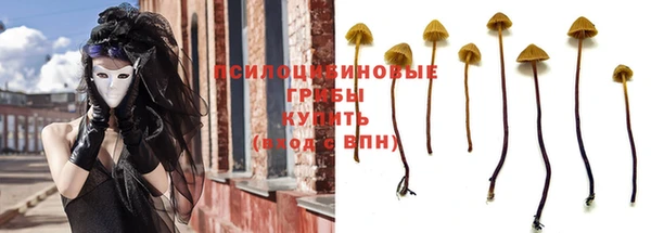 МДМА Медвежьегорск