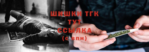 спиды Медногорск