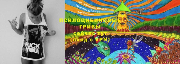 ГАЛЛЮЦИНОГЕННЫЕ ГРИБЫ Михайловск