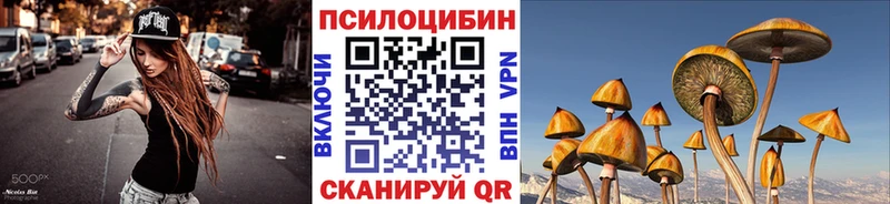 Купить закладки  Рузаевка  Псилоцибиновые грибы Psilocybine cubensis 