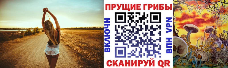 Галлюциногенные грибы ЛСД Рузаевка