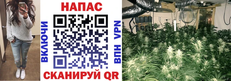Купить где  Рузаевка  Бошки марихуана марихуана 